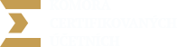Primary Raster logo